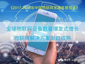 2018中國(guó)物聯(lián)網(wǎng)（IoT）報(bào)告 網(wǎng)絡(luò)信息技術(shù)開發(fā)進(jìn)展與趨勢(shì)
